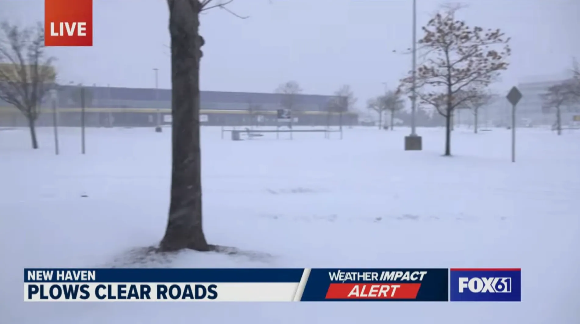 FOX61 WALL-TO-WALL WINTER STORM COVERAGE